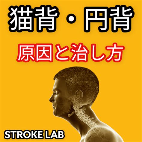 頭背|【2022年最新】猫背・円背の原因と治し方とは？頭。